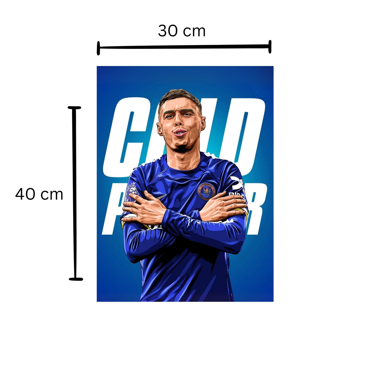 Cold Palmer Poster