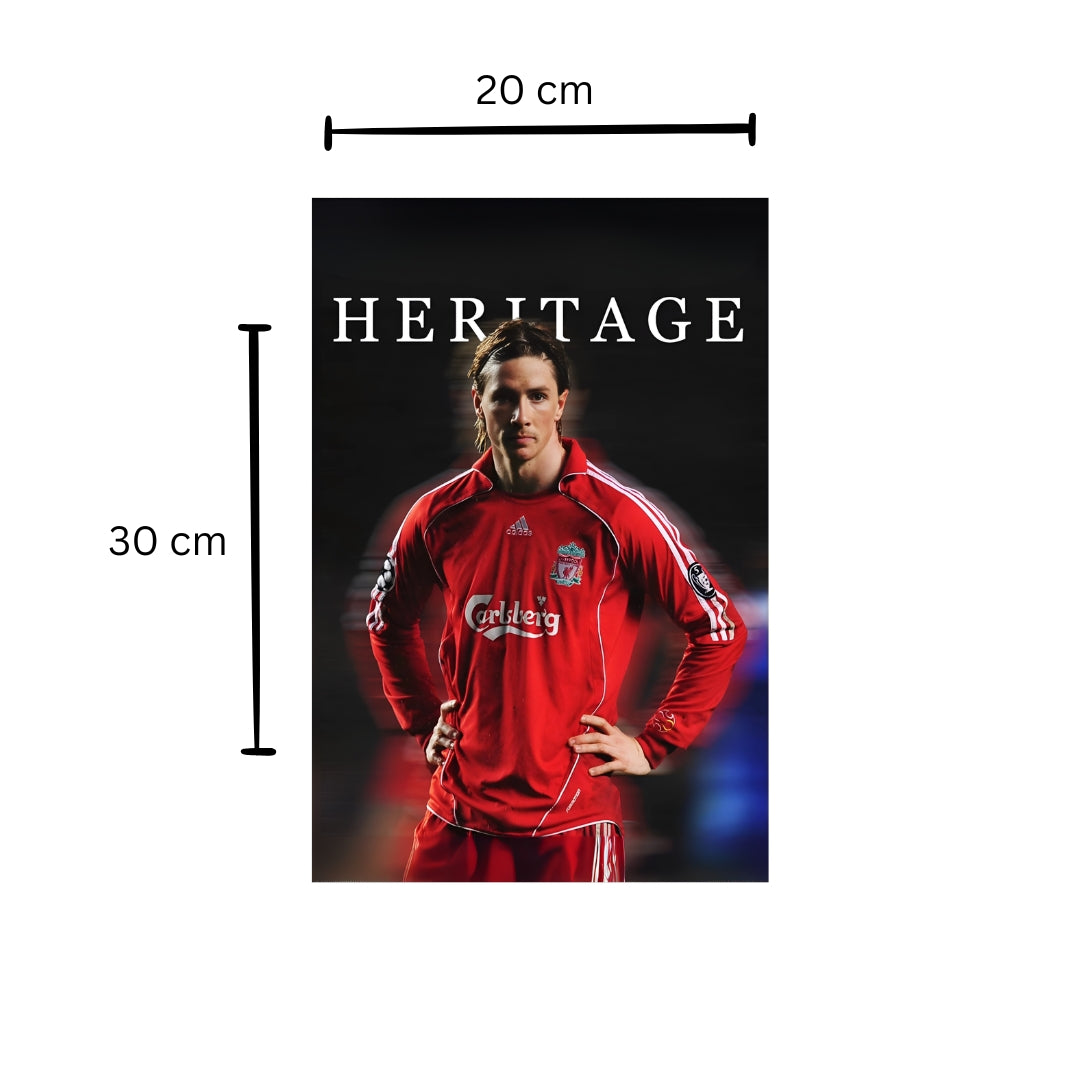 Fernando Torres Poster