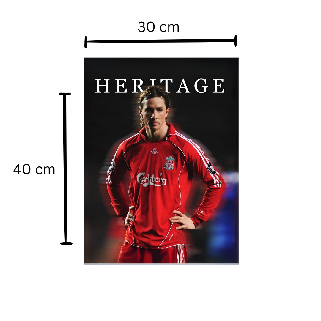 Fernando Torres Poster