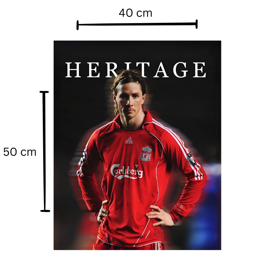 Fernando Torres Poster