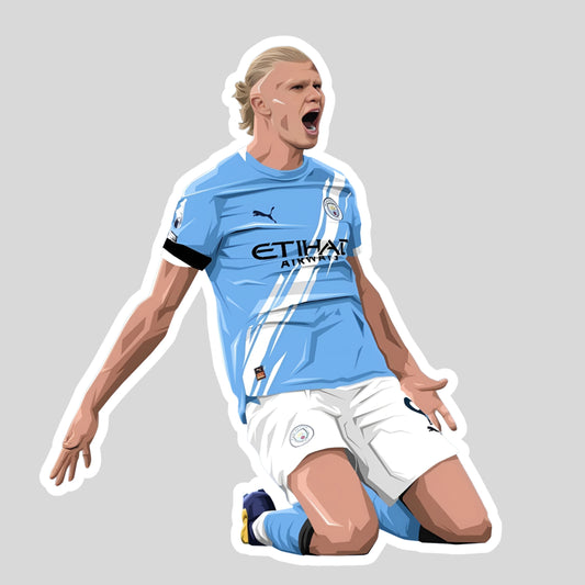 Erling Haaland Sticker
