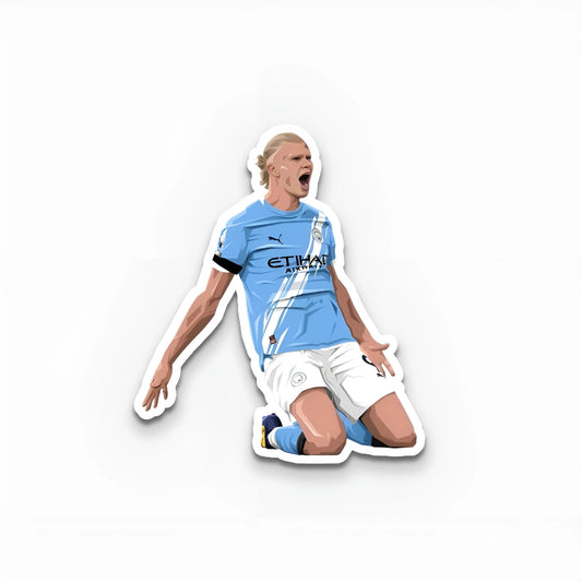 Erling Haaland Sticker