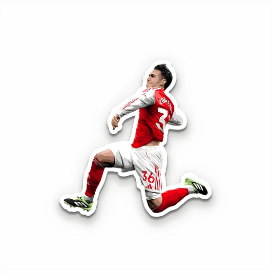 Martín Zubimendi Sticker