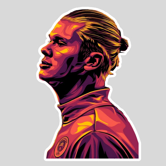 Erling Haaland Sticker