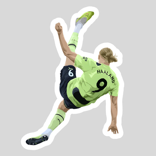 Erling Haaland Sticker