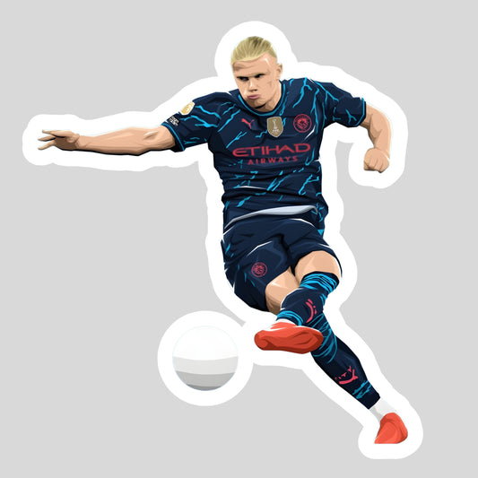 Erling Haaland Sticker