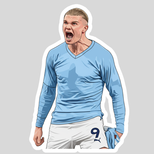Erling Haaland Sticker